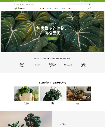 植物绿植